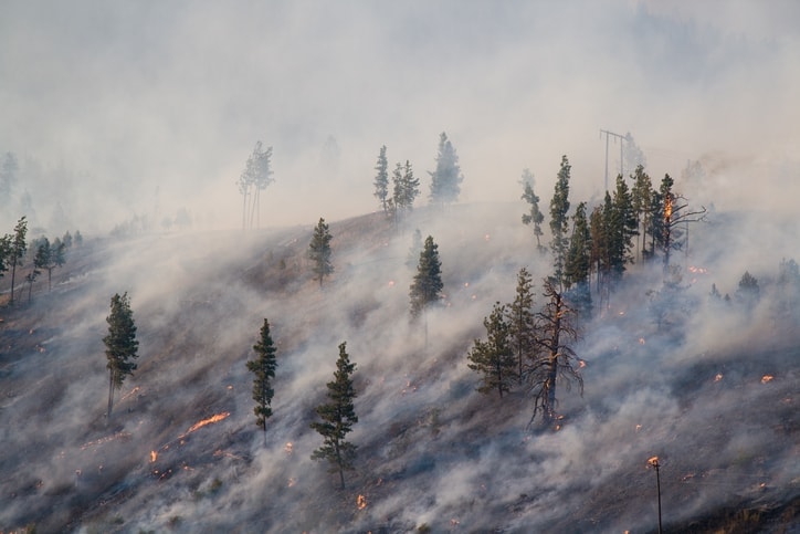 Wildfires in Portland, OR.