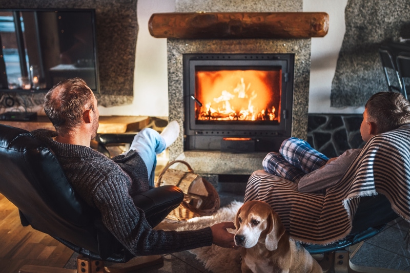 The Basics of Winter Indoor Air Quality - Father with son sitting in comfortable armchairs in their cozy country house near fireplace and enjoying a warm atmosphere and flame moves. Their beagle friend dog sitting beside on white sheepskin.